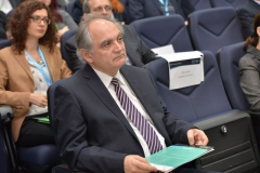 CID-2014-NIC_5026-Plenary-20.03.2014_foto-Nicu-Cherciu