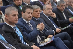 CID-2014-NIC_5261-Plenary-20.03.2014_foto-Nicu-Cherciu
