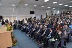 CID-2014-NIC_5356-Plenary-20.03.2014_foto-Nicu-Cherciu