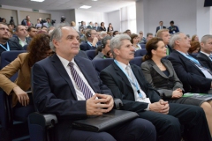 CID-2014-NIC_5421-Plenary-20.03.2014_foto-Nicu-Cherciu