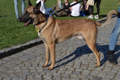 DSC_0171