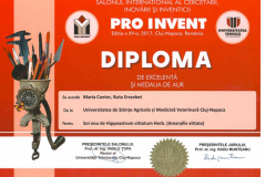 diplome_Page_02