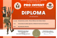 diplome_Page_07