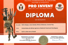 diplome_Page_13