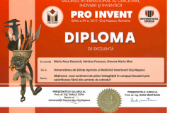 diplome_Page_17