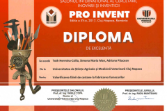 diplome_Page_18