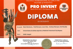 diplome_Page_19