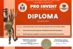 diplome_Page_26