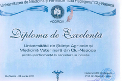 diplome_Page_27