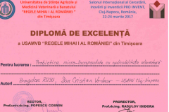 diplome_Page_28