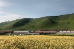 Ferma-Cojocna