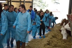 Ferma-Cojocna5