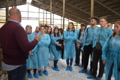 Ferma-Cojocna6