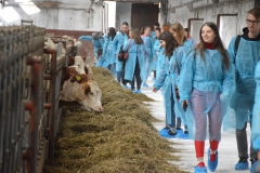 Studenți-Cojocna