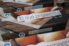 ouă-Cojocna