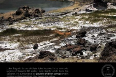 Life11-Lake-Bogoria-1