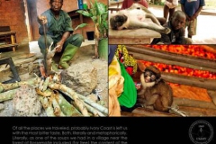 Life15-Bushmeat